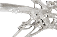 Silver Leaf Root Wall Art