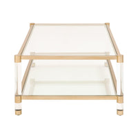 Novel Brass & Lucite Coffee Table