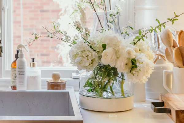 Clear Glass Bloom Vase with Removable White Base