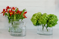 Clear Glass Bloom Vase with Removable White Base