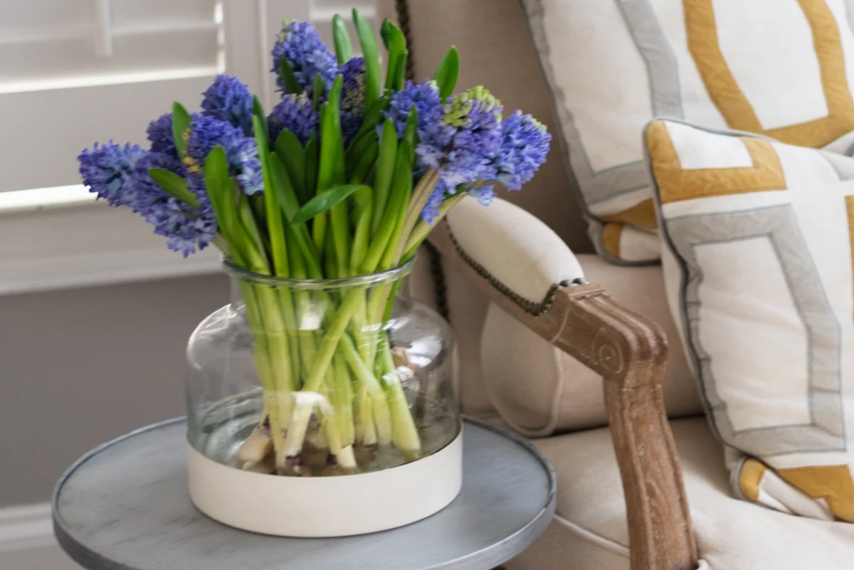 Clear Glass Bloom Vase with Removable White Base