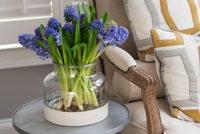 Clear Glass Bloom Vase with Removable White Base