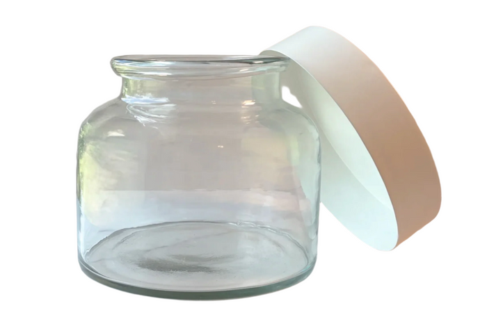 Clear Glass Bloom Vase with Removable White Base