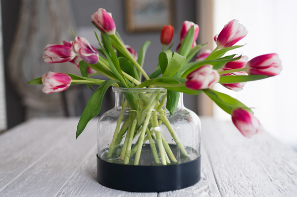 3-in-1 Glass Bloom Vase, Maritime Color Set